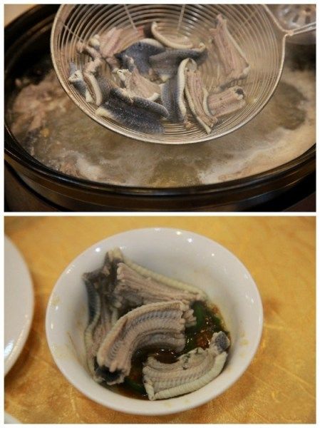 水律(点击更多高清美图)
