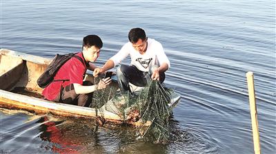 经过多次清淤的湖北洪湖小龙虾养殖水塘即将迎来丰收