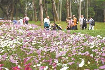 天河公园扮靓工程全面完工 拆围透绿 花景更美