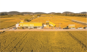 在希望的田野上 喜见广州乡村巨变——写在广州乡村大地的“十四五”答卷