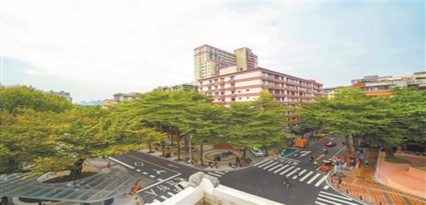 广州市越秀区以“绣花”功夫推动新河浦历史文化街区保护与活化利用