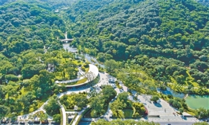 广州深入推进全民义务植树高质量发展 书写国际化山水园林城市“出新出彩”绿色答卷