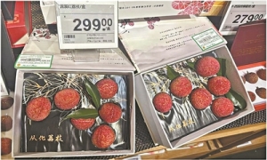 流溪红：“荔”势稳产的致富密码