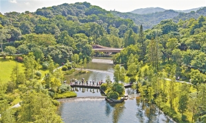 广州协同推进降碳减污扩绿增长 积极探索美丽城市建设新路径