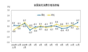 国家统计局：11月份居民消费价格同比上涨0.7%