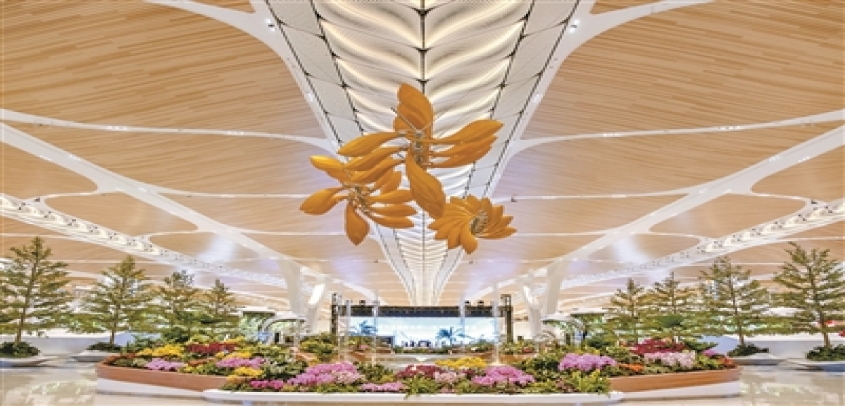 T3航站楼藏着“会动的岭南花园”