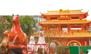 十一区花市牌楼 谁家顶流