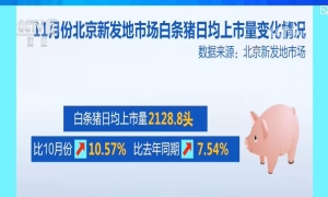 民生消费观察：猪肉价格缓慢下降 蔬菜供应充足价格稳定